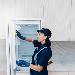 Мойка кухонной техники